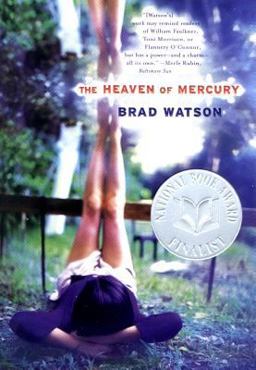 Heaven of Mercury A Novel  9780393324655 Front Cover
