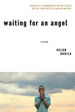Waiting for an Angel  9780393325119 Front Cover