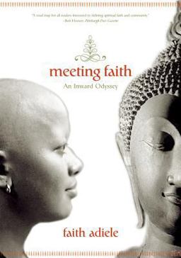 Meeting Faith An Inward Odyssey  9780393326734 Front Cover