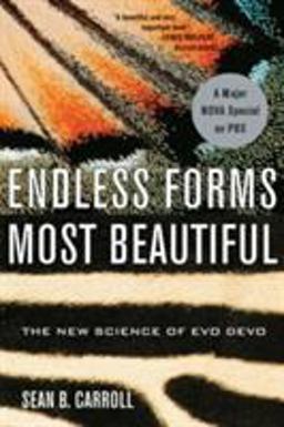 Endless Forms Most Beautiful The New Science of Evo Devo  9780393327793 Front Cover