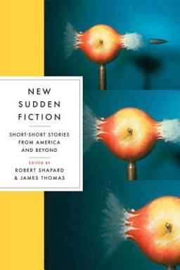 New Sudden Fiction Short Stories from America and Beyond  9780393328011 Front Cover
