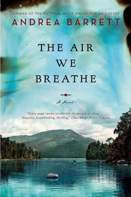 Air We Breathe A Novel  9780393333077 Front Cover