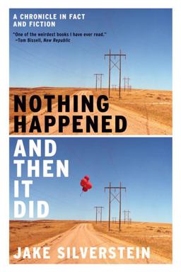 Nothing Happened and Then It Did A Chronicle in Fact and Fiction  9780393339949 Front Cover