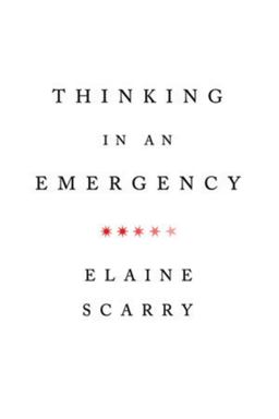 Thinking in an Emergency  9780393340587 Front Cover