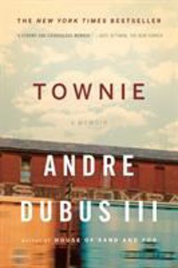 Townie A Memoir  9780393340679 Front Cover