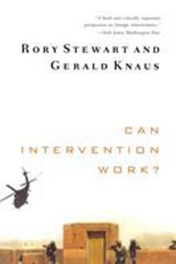 Can Intervention Work?  9780393342246 Front Cover