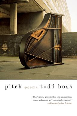 Pitch Poems  9780393345520 Front Cover