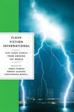 Flash Fiction International Very Short Stories from Around the World  9780393346077 Front Cover