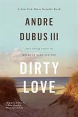 Dirty Love  9780393348910 Front Cover
