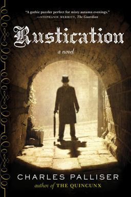 Rustication A Novel  9780393349818 Front Cover