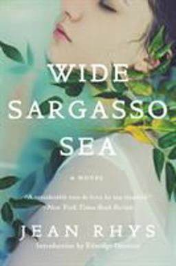 Wide Sargasso Sea  9780393352566 Front Cover