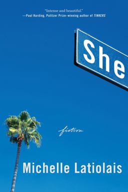 She Fiction  9780393354164 Front Cover