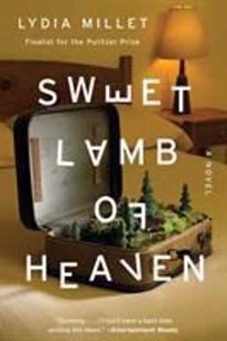Sweet Lamb of Heaven A Novel  9780393354188 Front Cover