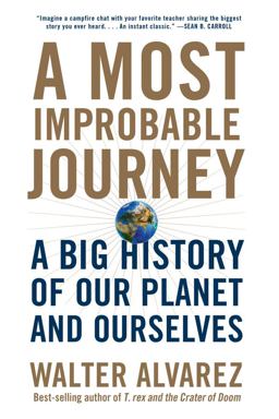 Most Improbable Journey A Big History of Our Planet and Ourselves  9780393355192 Front Cover