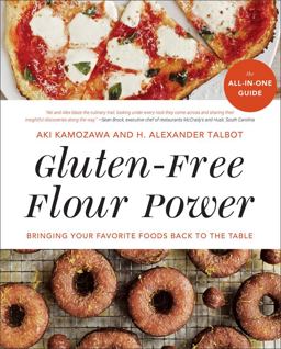 Gluten-Free Flour Power Bringing Your Favorite Foods Back to the Table  9780393355703 Front Cover