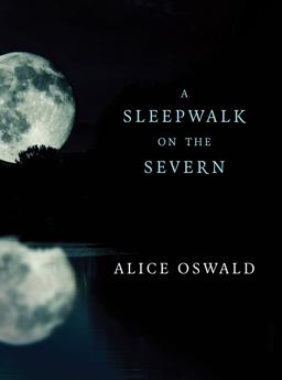 Sleepwalk on the Severn  9780393355970 Front Cover