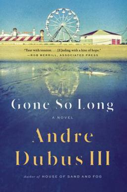 Gone So Long A Novel  9780393357370 Front Cover