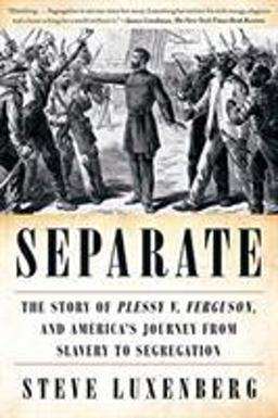 Separate The Story of Plessy V. Ferguson, and America's Journey from Slavery to Segregation  9780393357691 Front Cover