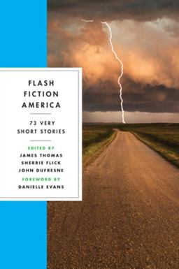 Flash Fiction America 73 Very Short Stories  9780393358056 Front Cover