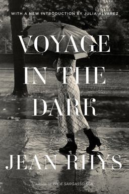 Voyage in the Dark A Novel  9780393358124 Front Cover