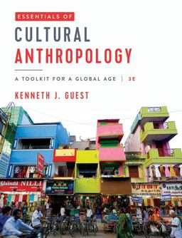 Essentials of Cultural Anthropology A Toolkit for a Global Age  9780393417234 Front Cover