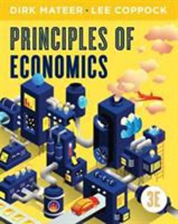 Principles of Economics, 3rd Edition + Reg Card 3rd 9780393422276 Front Cover