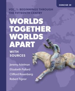 Worlds Together, Worlds Apart A History of the World from the Beginnings of Humankind to the Present 3rd 9780393532036 Front Cover