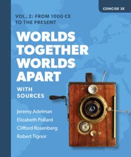 Worlds Together, Worlds Apart A History of the World from the Beginnings of Humankind to the Present 3rd 9780393532043 Front Cover