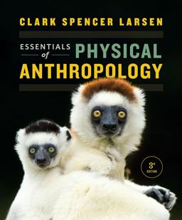 Essentials of Physical Anthropology 3rd 9780393612271 Front Cover