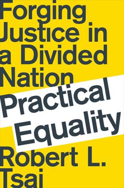 Practical Equality Forging Justice in a Divided Nation 2019 9780393652024 Front Cover