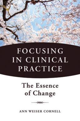 Focusing in Clinical Practice The Essence of Change  9780393707601 Front Cover