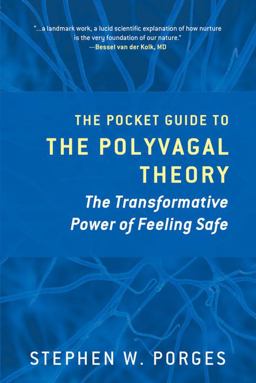 Pocket Guide to the Polyvagal Theory The Transformative Power of Feeling Safe  9780393707878 Front Cover
