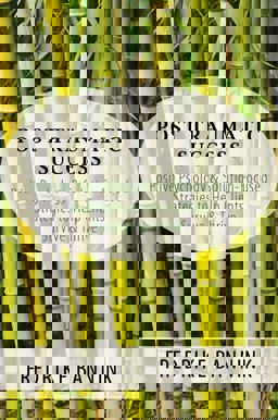 Post-Traumatic Success Positive Psychology and Solution-Focused Strategies to Help Clients  9780393709223 Front Cover