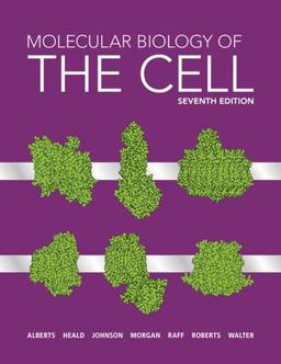 Molecular Biology of the Cell:  9780393884845 Front Cover