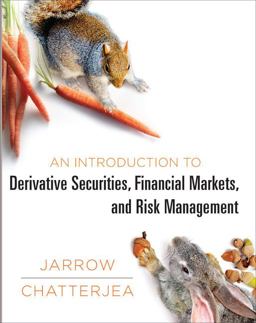 Introduction to Derivative Securities, Financial Markets, and Risk Management  9780393913071 Front Cover