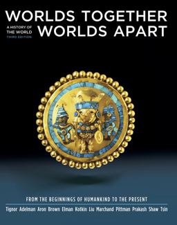 Worlds Together, Worlds Apart A History of the World - From the Beginnings of Humankind to the Present 3rd 9780393934922 Front Cover