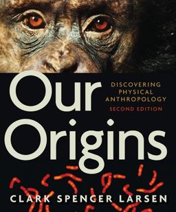 Our Origins Discovering Physical Anthropology 2nd 9780393934984 Front Cover