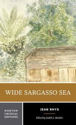 Wide Sargasso Sea  9780393960129 Front Cover