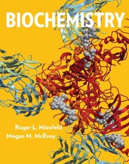 Biochemistry  9780393977264 Front Cover