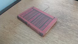 The Light in the Forest