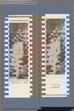 The Thanksgiving Visitor