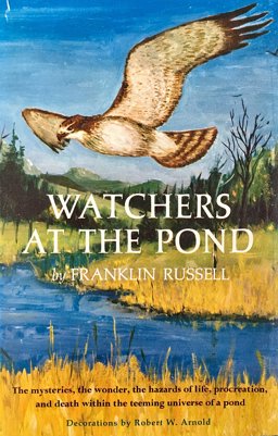 Watchers at the Pond
