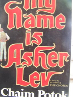 My Name Is Asher Lev