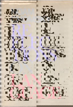 Reflections on Language