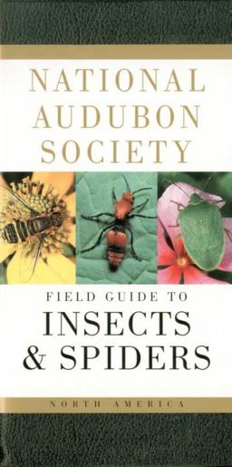 National Audubon Society Field Guide to Insects and Spiders North America  9780394507637 Front Cover