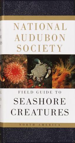 National Audubon Society Field Guide to Seashore Creatures North America  9780394519937 Front Cover