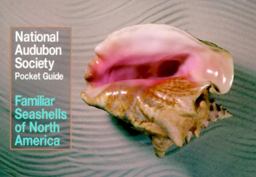National Audubon Society Pocket Guide to Familiar Seashells National Audubon Society Pocket Guide to Familiar Seashells