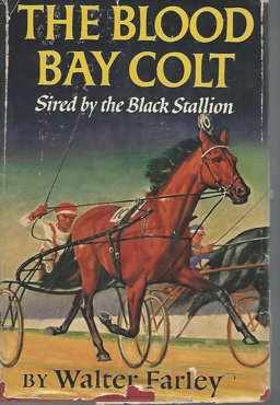 The Black Stallion's Blood Bay Colt