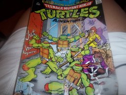Teenage Mutant Ninja Turtles