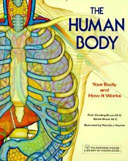 The Human Body